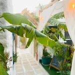 Badehan Aparthotel Cesme
